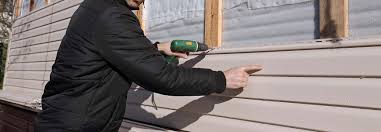 Best Siding Painting and Refinishing  in Park Hills, KY